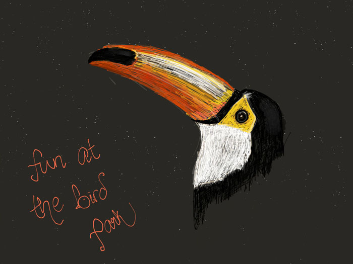 A drawing of a toco toucan bird on a dark background with  the words 'fun at the bird park' written next to it