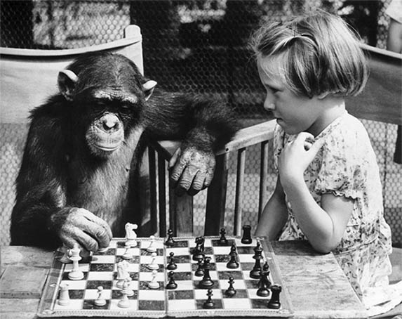 A picture of a chimp playing chess against a young girl.