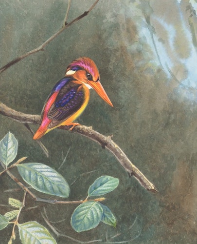 A painting of a bird on a tree branch with some leaves around it.