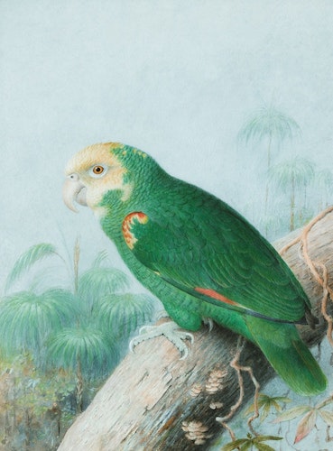 A painting of a big, green bird on a thick tree branch.